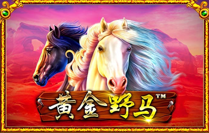 3039体育最新版APP