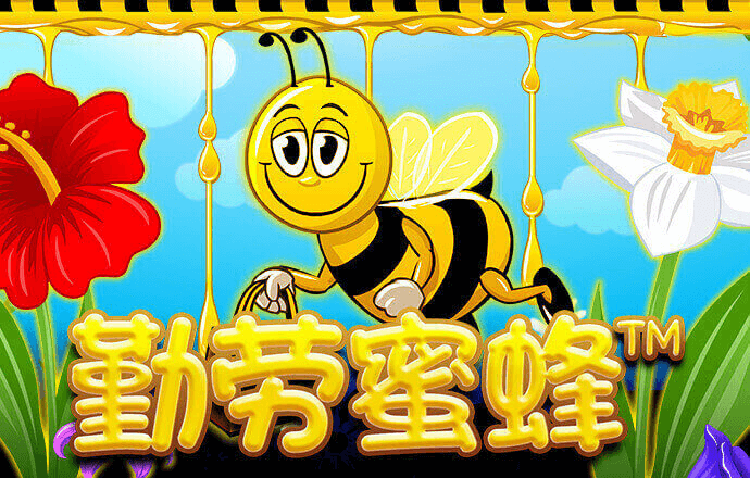 开元988棋牌通用版